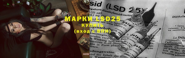 PSILOCYBIN Михайлов