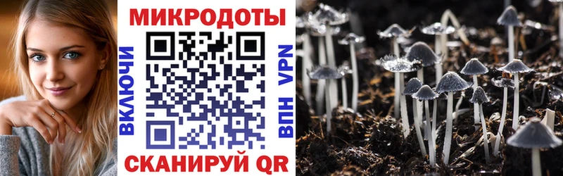 hydra ссылки  Пудож  Галлюциногенные грибы Magic Shrooms 
